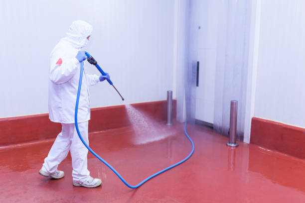Best House Exterior Washing  in Morongo Valley, CA