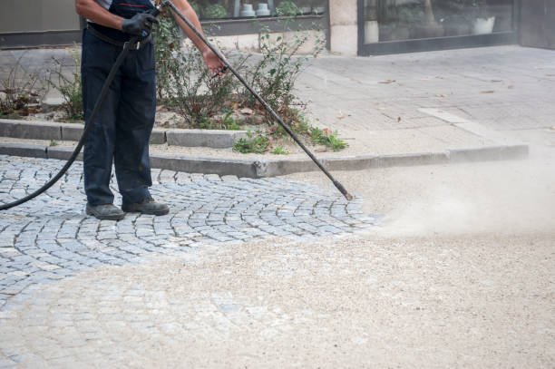 Best Dumpster Area Cleaning  in Morongo Valley, CA