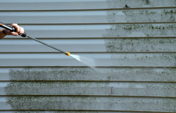 Best Roof Washing  in Morongo Valley, CA